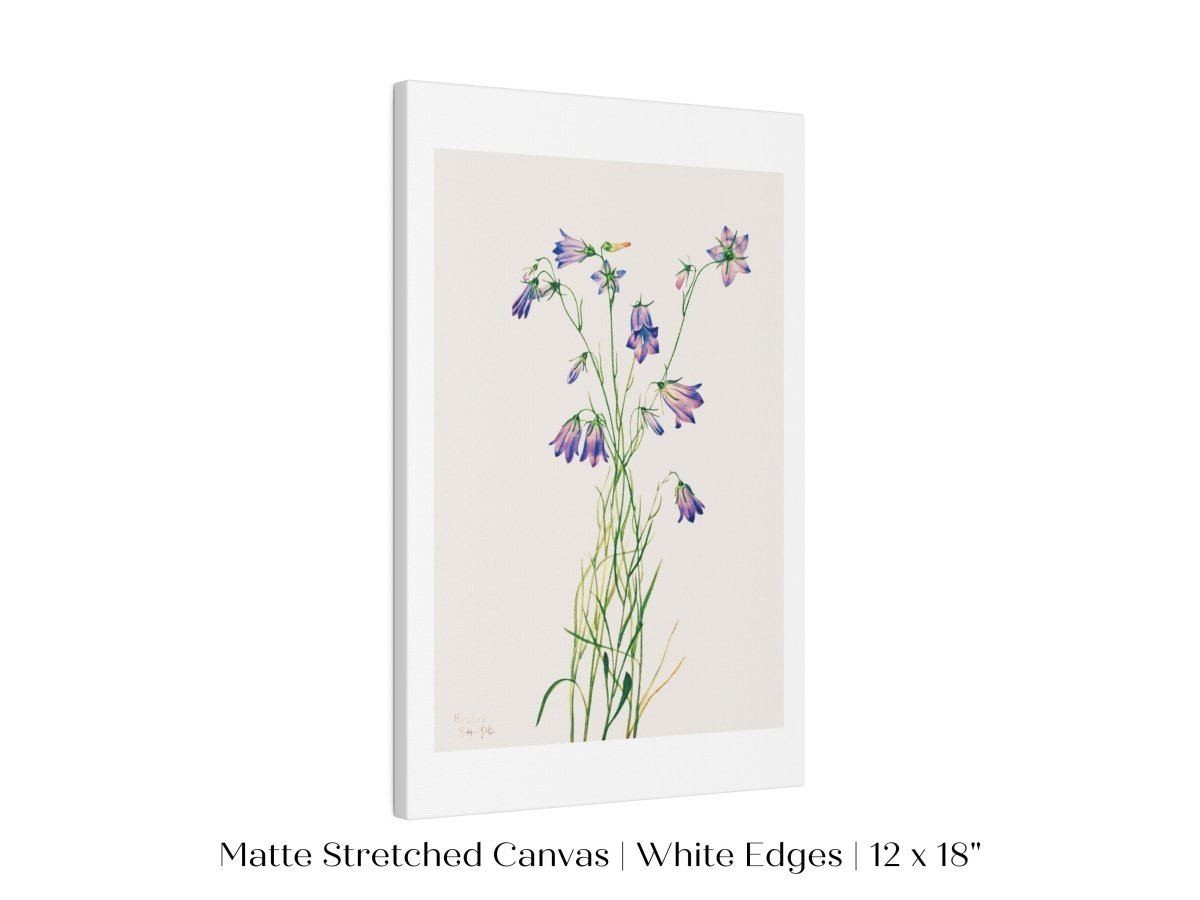 Harebell Illustration | P277 - Single Art Prints - Piccolo Fiore Prints