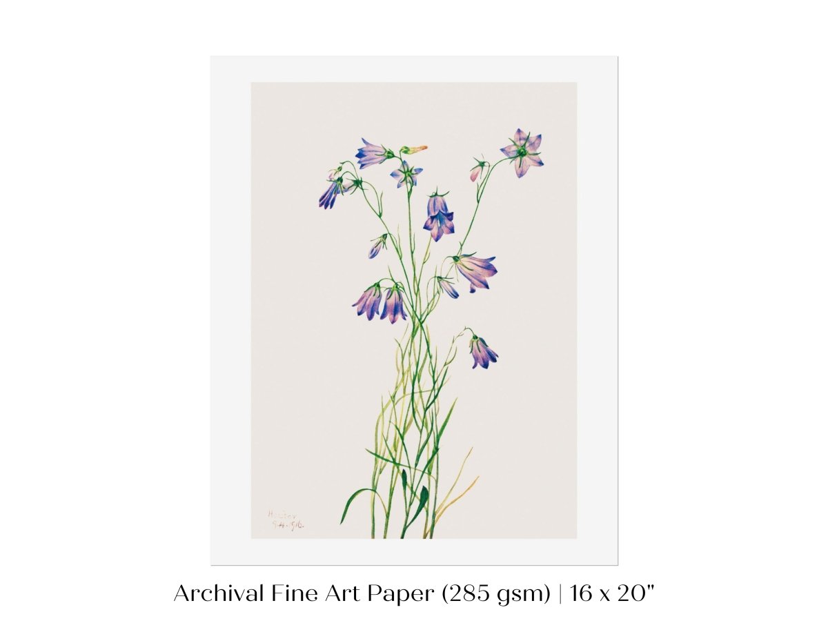 Harebell Illustration | P277 - Single Art Prints - Piccolo Fiore Prints
