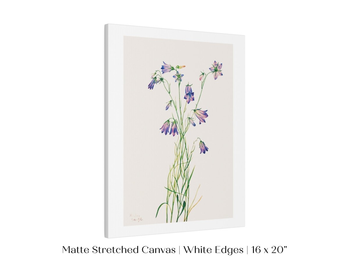 Harebell Illustration | P277 - Single Art Prints - Piccolo Fiore Prints