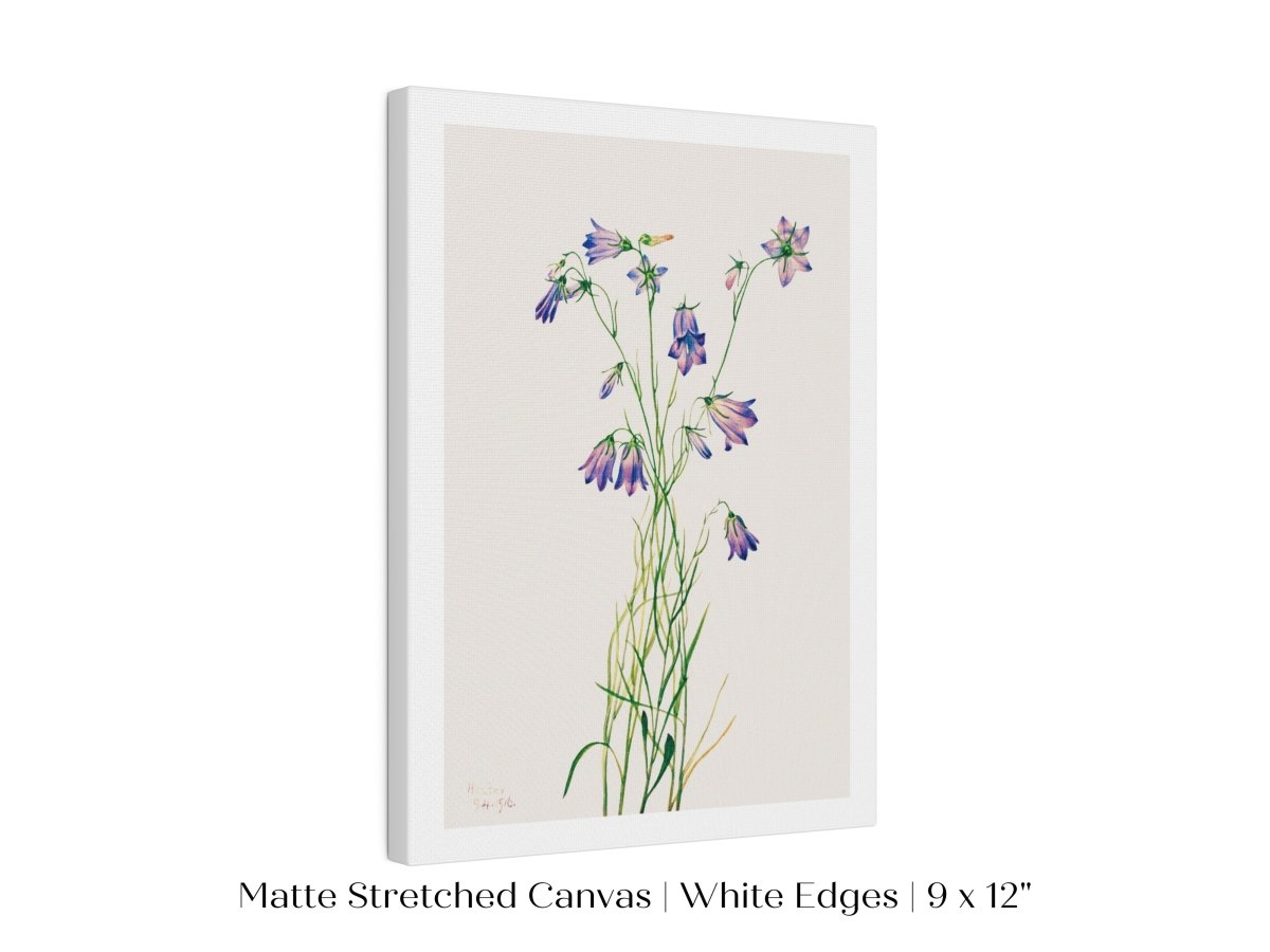 Harebell Illustration | P277 - Single Art Prints - Piccolo Fiore Prints
