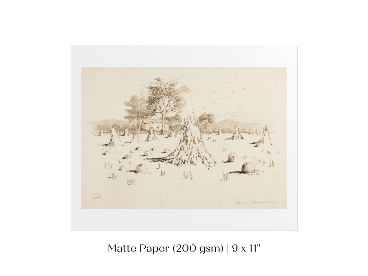 Harvest Sketch | P188 - Single Art Prints - Piccolo Fiore Prints