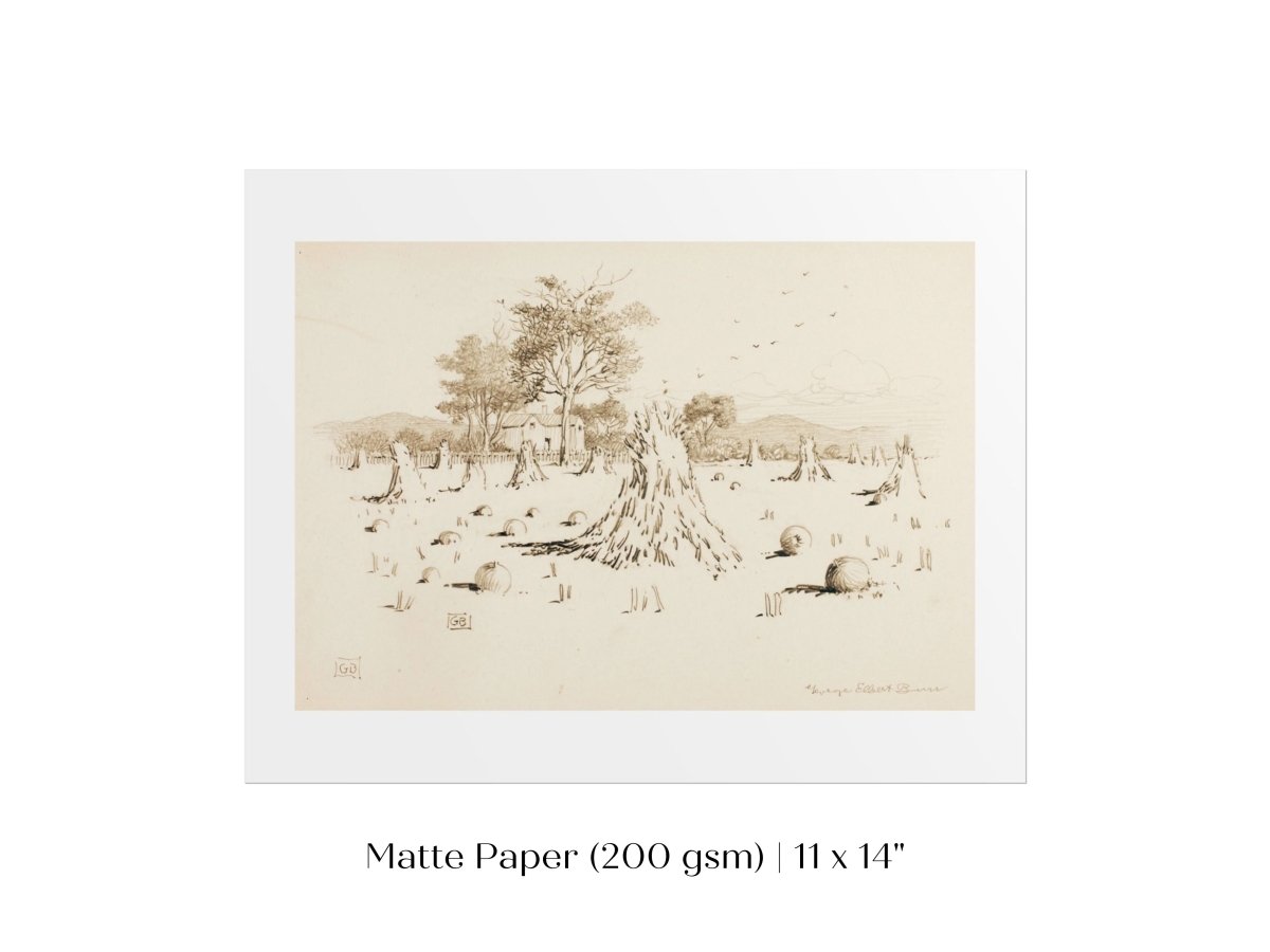 Harvest Sketch | P188 - Single Art Prints - Piccolo Fiore Prints