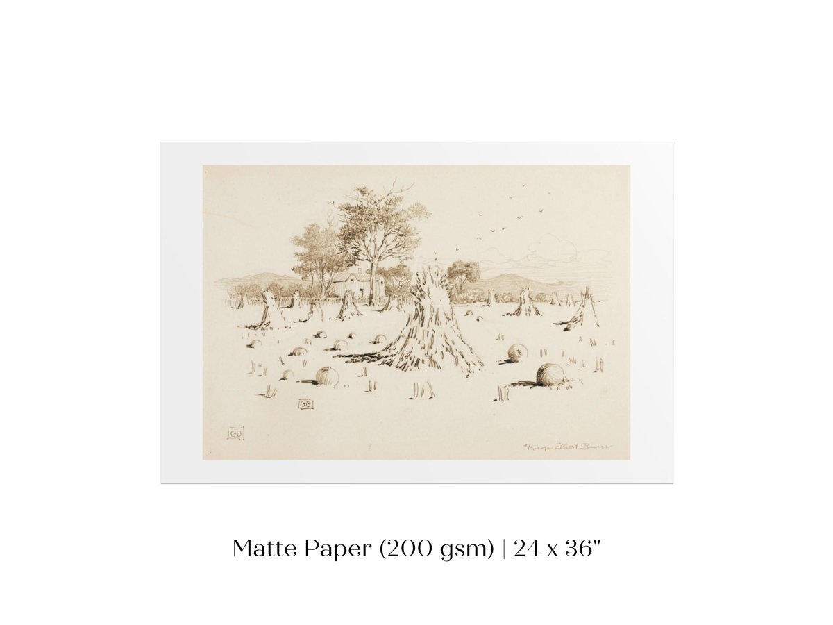 Harvest Sketch | P188 - Single Art Prints - Piccolo Fiore Prints