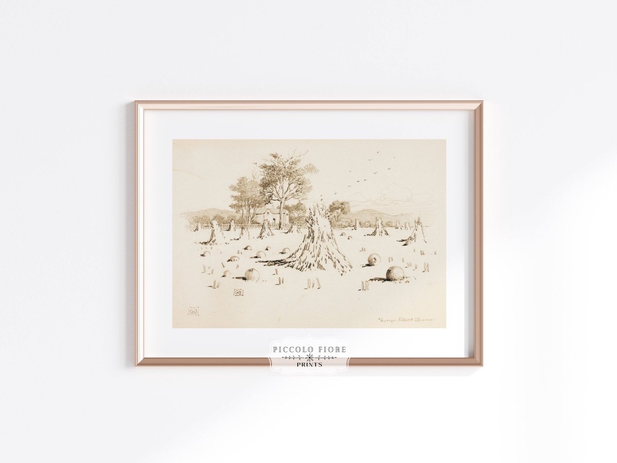 Harvest Sketch | P188 - Single Art Prints - Piccolo Fiore Prints