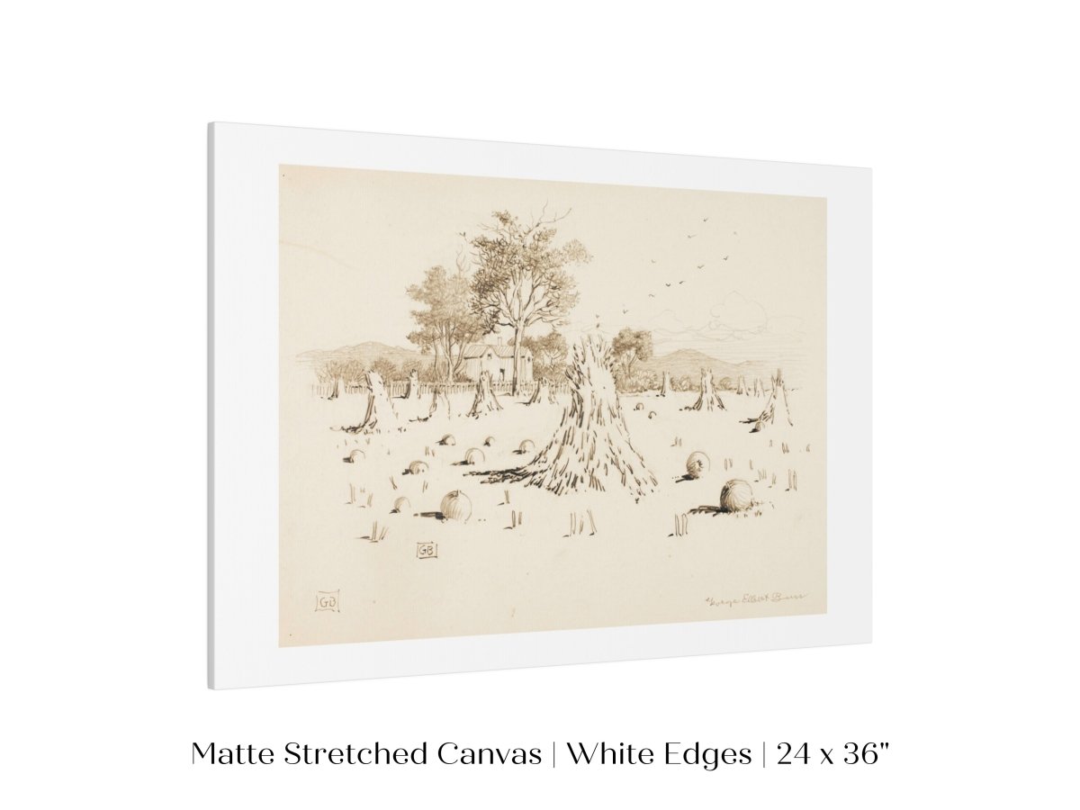Harvest Sketch | P188 - Single Art Prints - Piccolo Fiore Prints