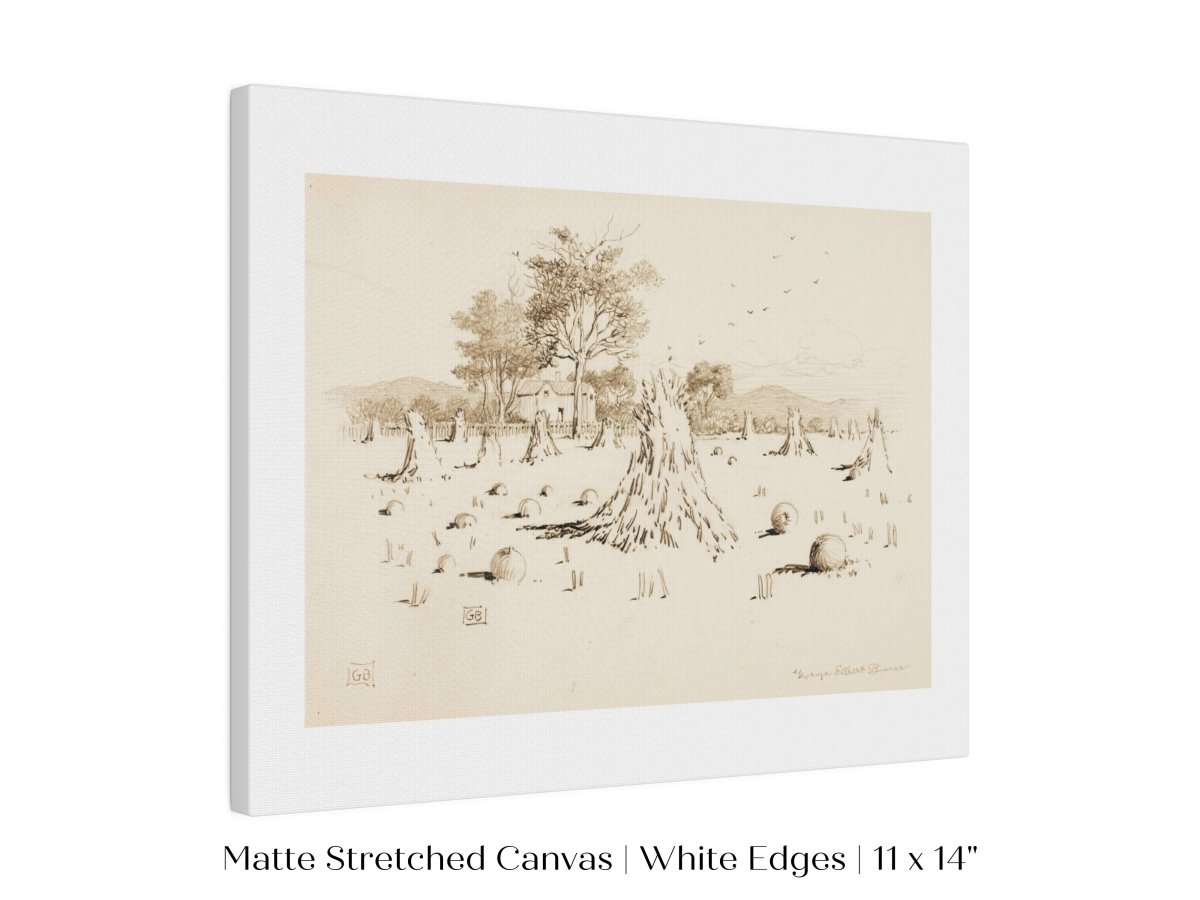Harvest Sketch | P188 - Single Art Prints - Piccolo Fiore Prints