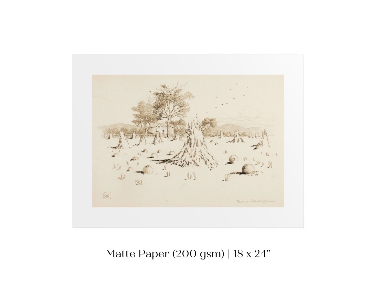 Harvest Sketch | P188 - Single Art Prints - Piccolo Fiore Prints