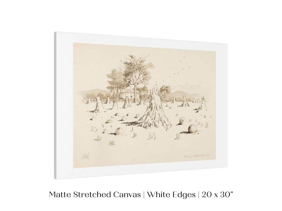 Harvest Sketch | P188 - Single Art Prints - Piccolo Fiore Prints