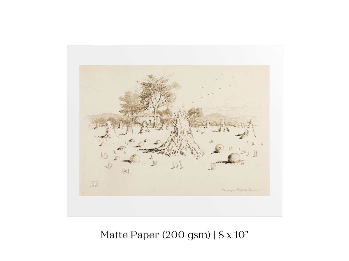 Harvest Sketch | P188 - Single Art Prints - Piccolo Fiore Prints