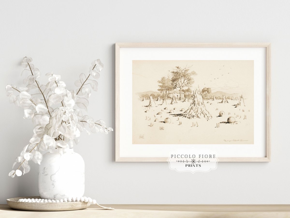 Harvest Sketch | P188 - Single Art Prints - Piccolo Fiore Prints