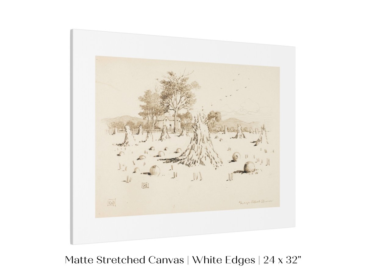 Harvest Sketch | P188 - Single Art Prints - Piccolo Fiore Prints
