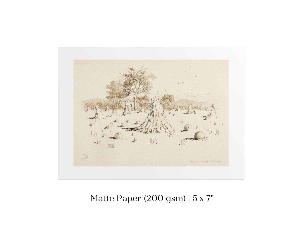 Harvest Sketch | P188 - Single Art Prints - Piccolo Fiore Prints