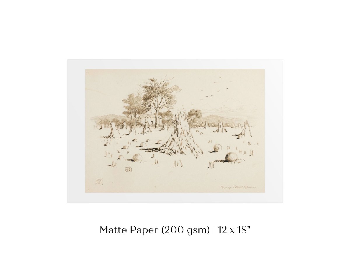 Harvest Sketch | P188 - Single Art Prints - Piccolo Fiore Prints