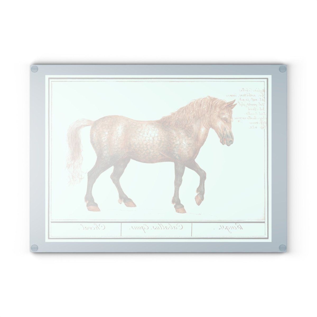 Horse | Glass Chopping Board - Glass Chopping Board - Piccolo Fiore Prints