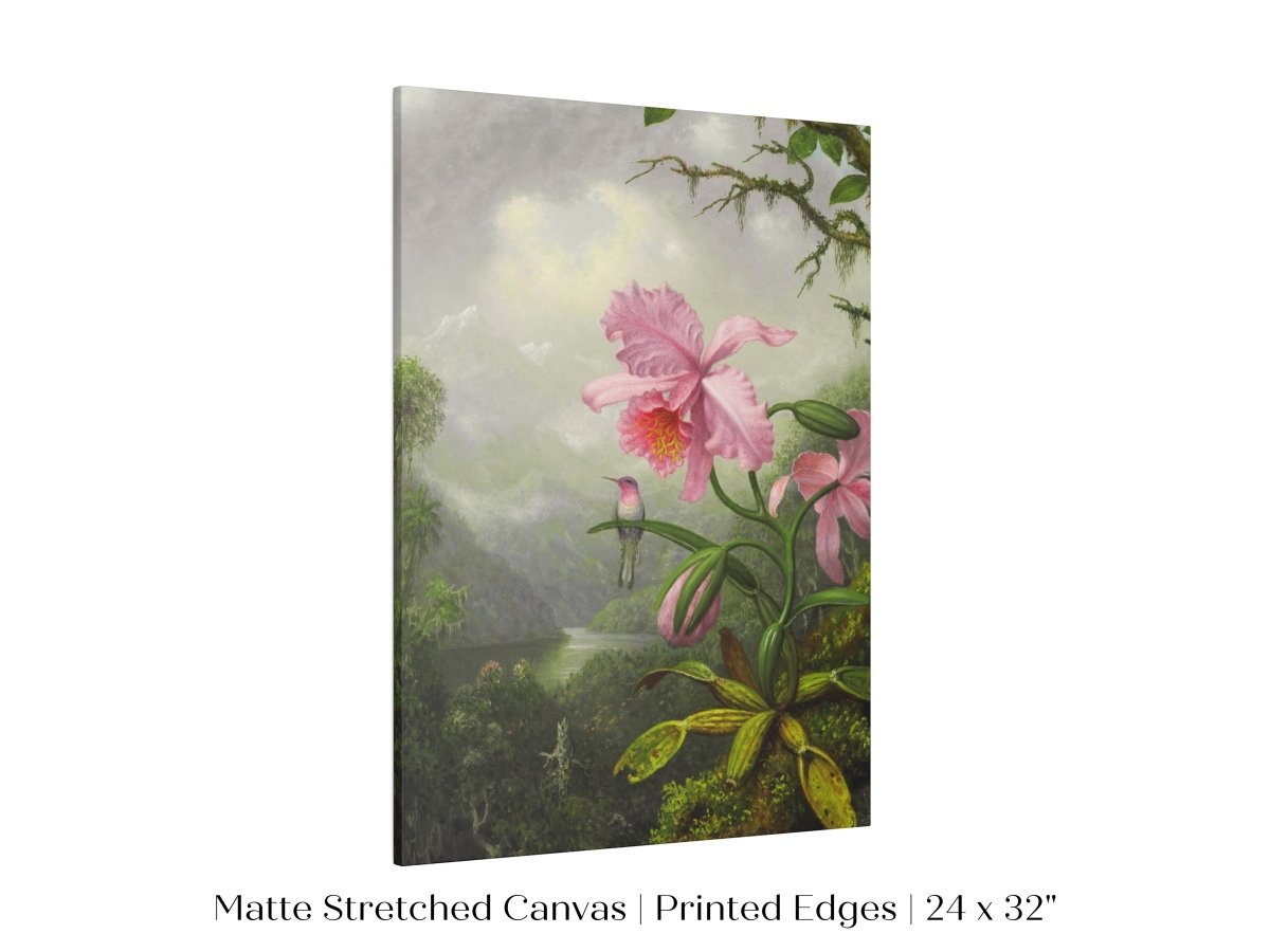 Hummingbird and Pink Orchid | P454 - Single Art Prints - Piccolo Fiore Prints
