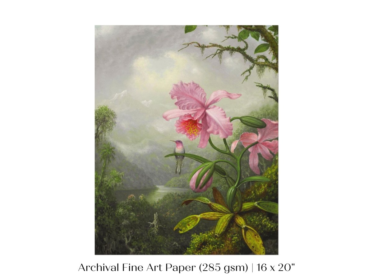 Hummingbird and Pink Orchid | P454 - Single Art Prints - Piccolo Fiore Prints