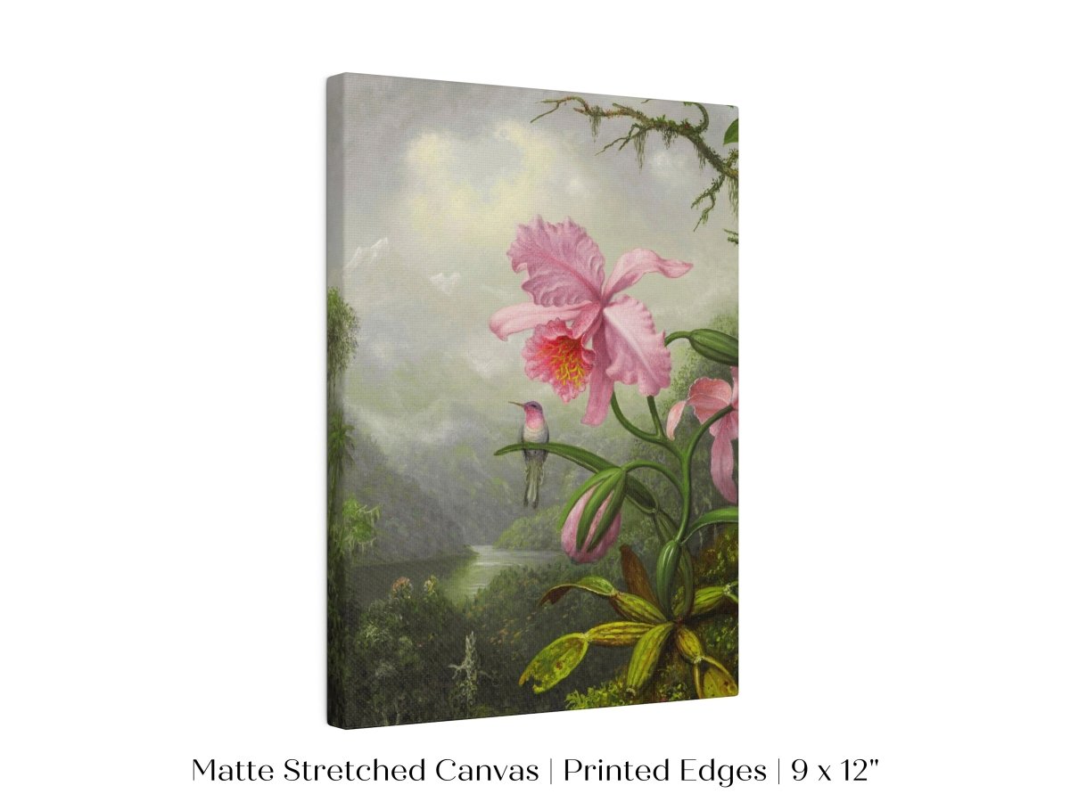Hummingbird and Pink Orchid | P454 - Single Art Prints - Piccolo Fiore Prints