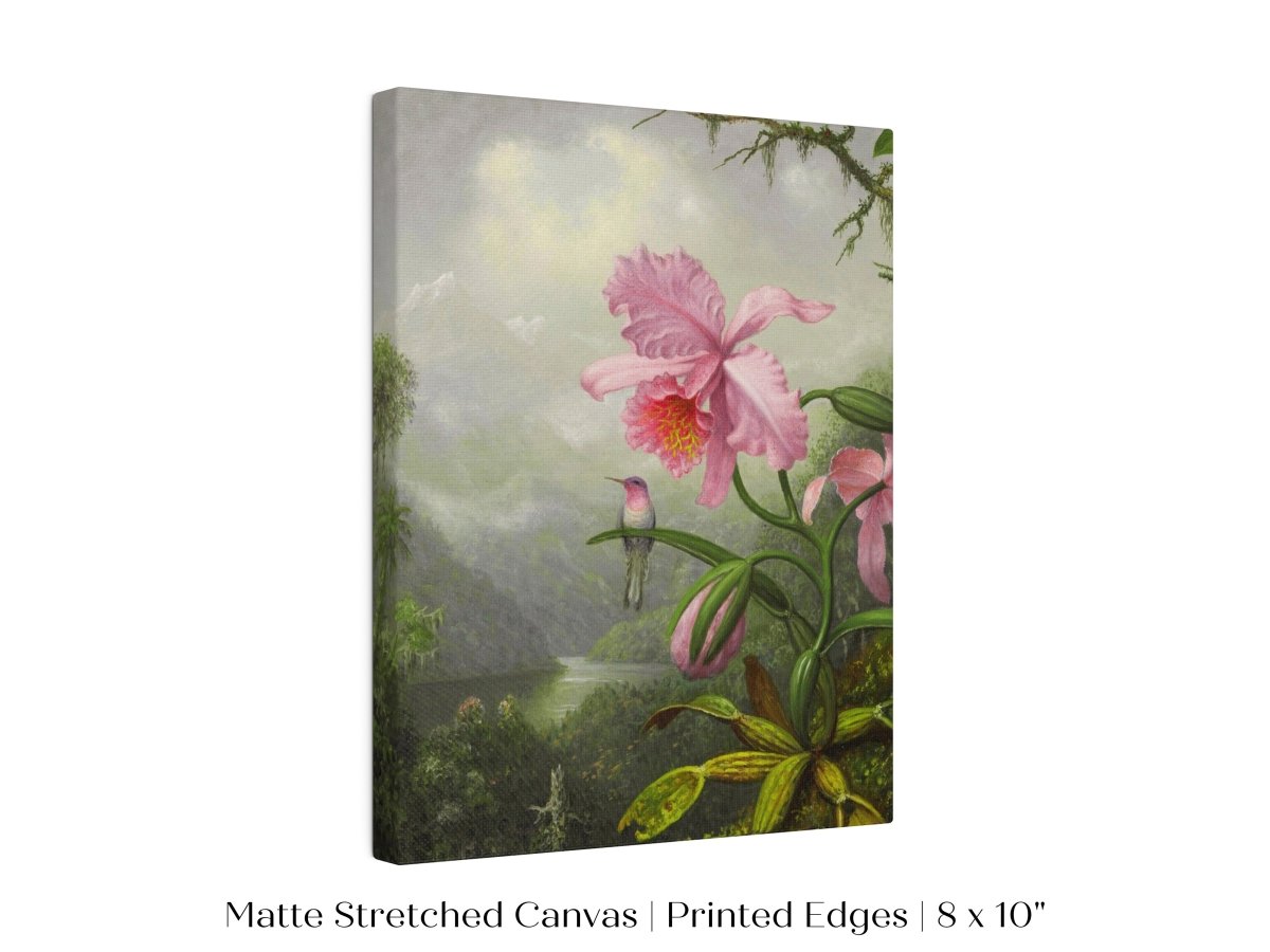 Hummingbird and Pink Orchid | P454 - Single Art Prints - Piccolo Fiore Prints