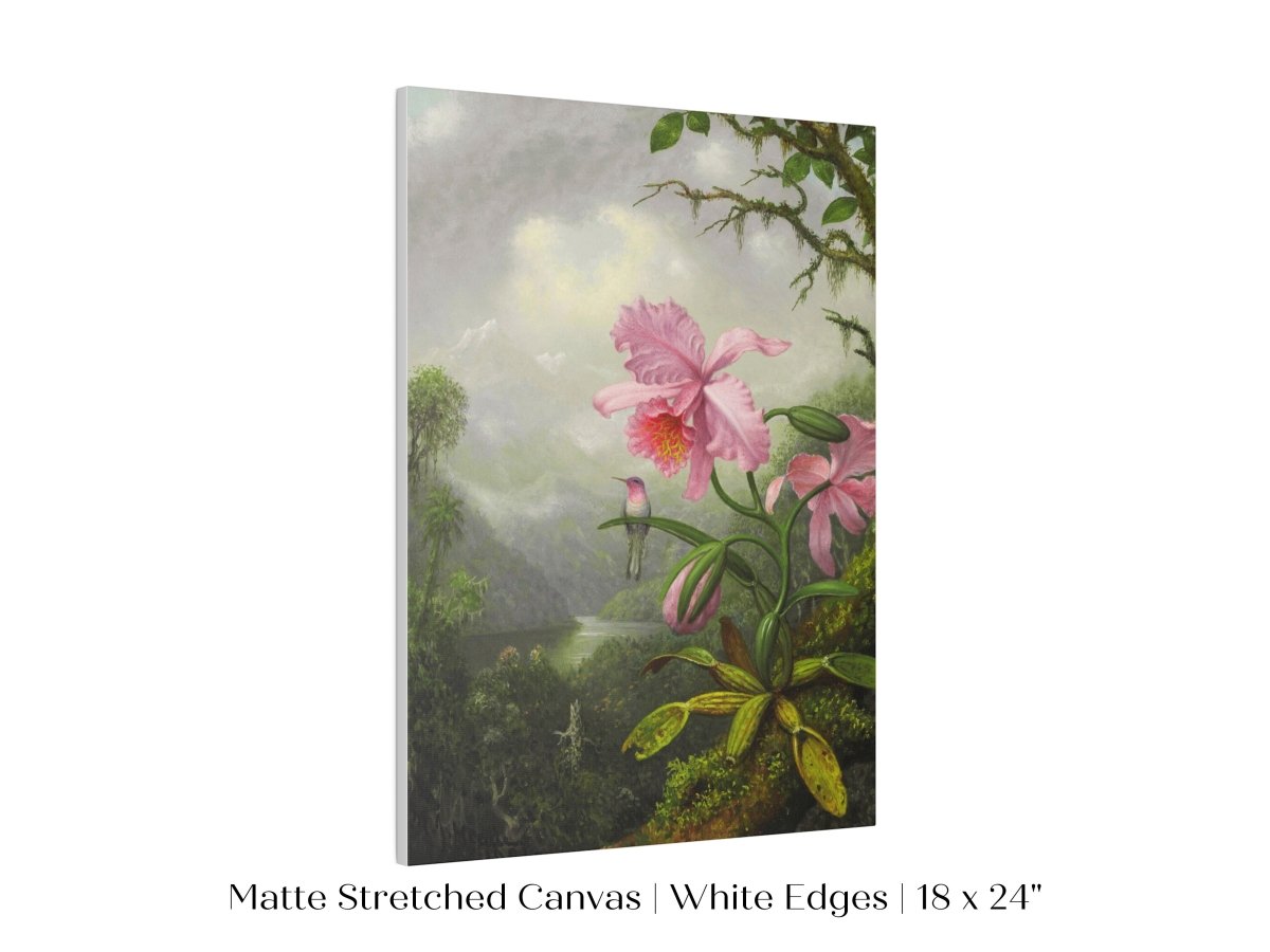 Hummingbird and Pink Orchid | P454 - Single Art Prints - Piccolo Fiore Prints
