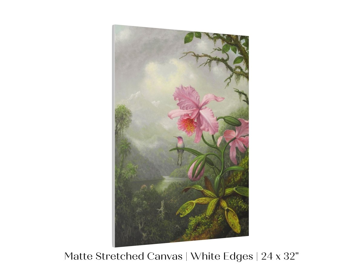 Hummingbird and Pink Orchid | P454 - Single Art Prints - Piccolo Fiore Prints