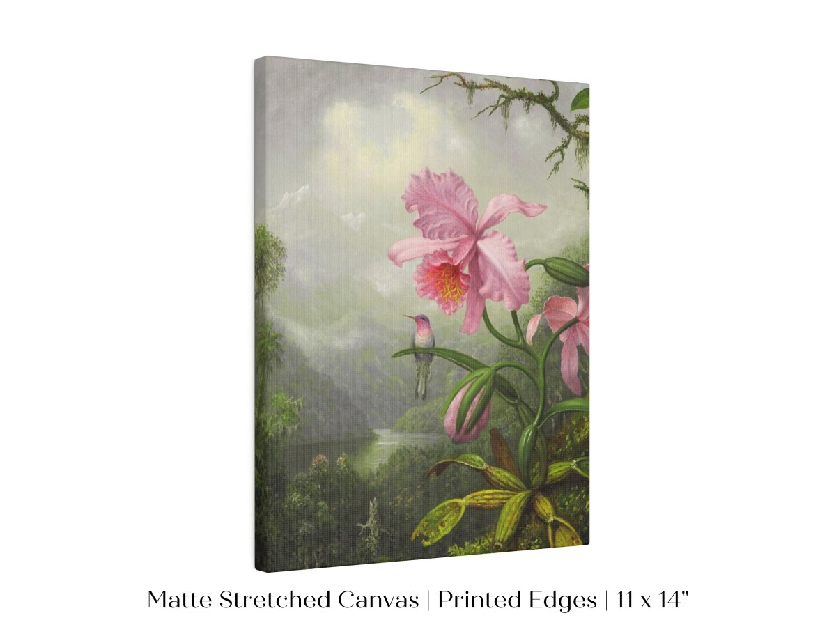 Hummingbird and Pink Orchid | P454 - Single Art Prints - Piccolo Fiore Prints