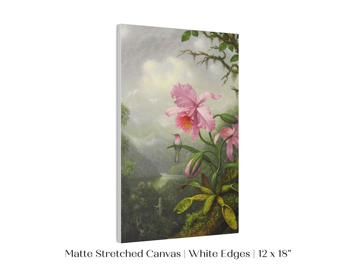 Hummingbird and Pink Orchid | P454 - Single Art Prints - Piccolo Fiore Prints