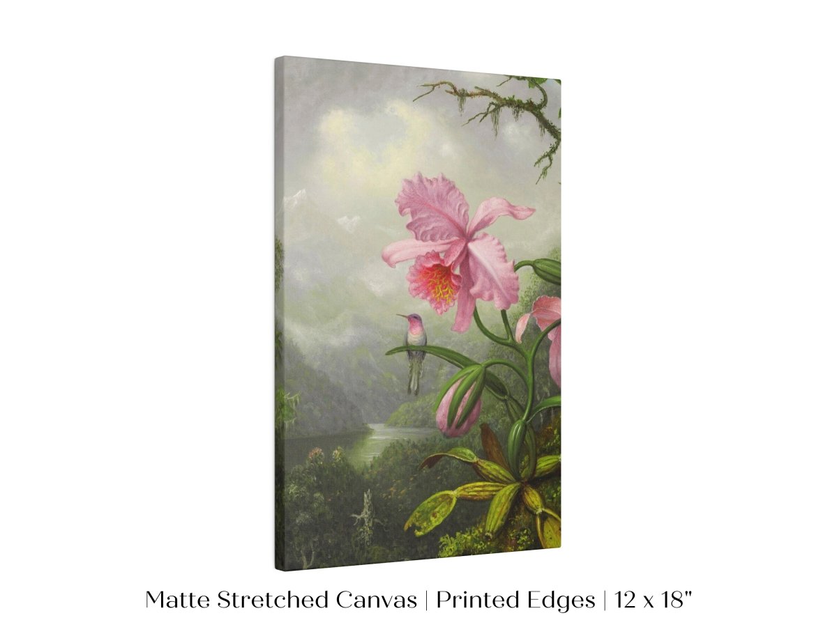 Hummingbird and Pink Orchid | P454 - Single Art Prints - Piccolo Fiore Prints