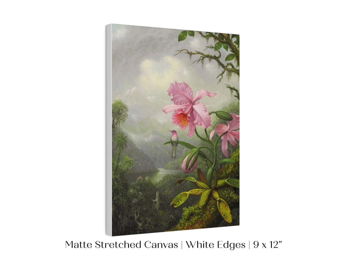 Hummingbird and Pink Orchid | P454 - Single Art Prints - Piccolo Fiore Prints