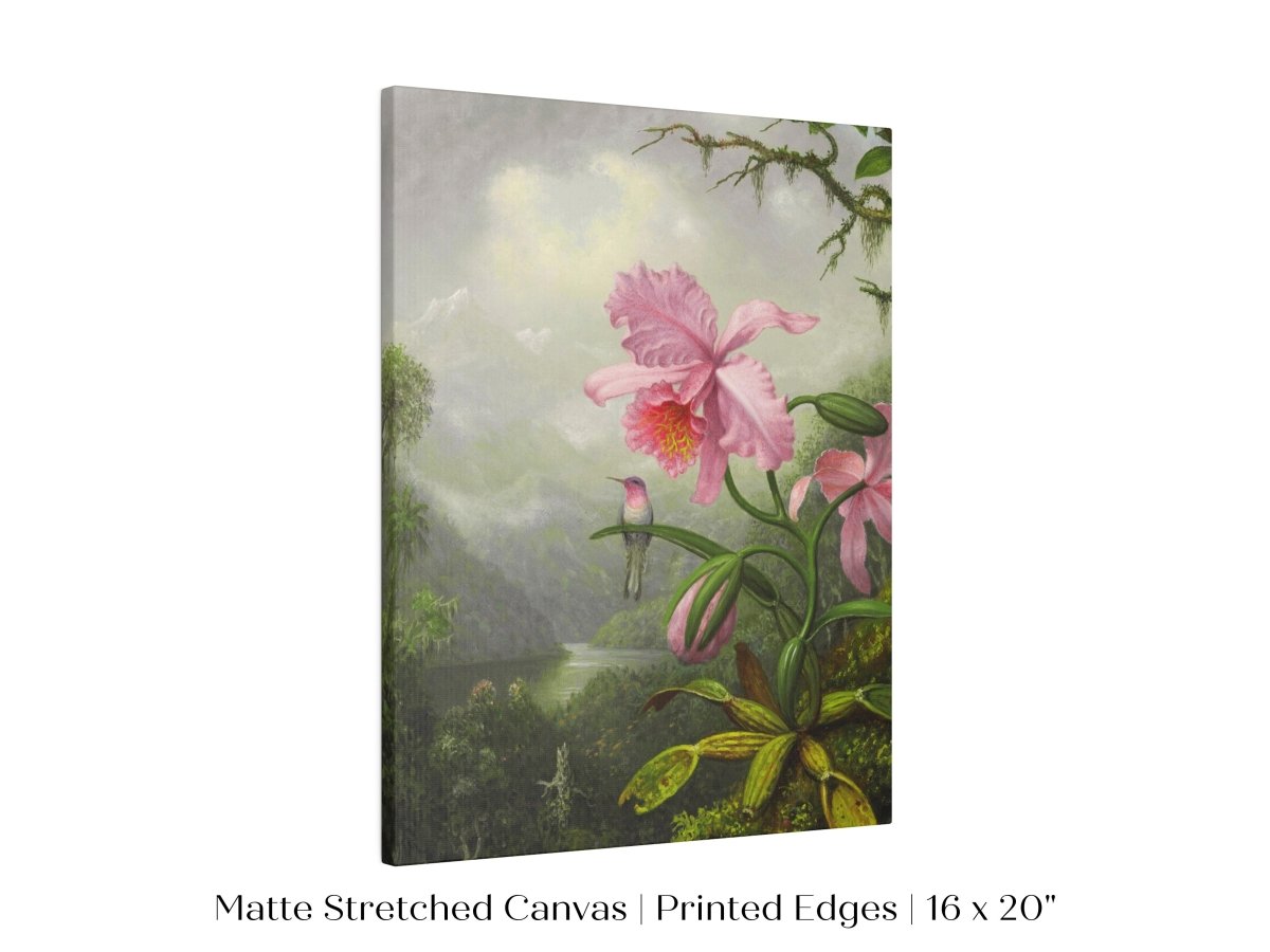 Hummingbird and Pink Orchid | P454 - Single Art Prints - Piccolo Fiore Prints