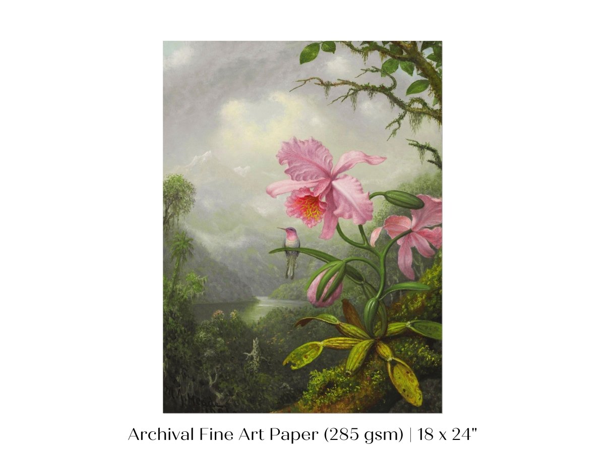 Hummingbird and Pink Orchid | P454 - Single Art Prints - Piccolo Fiore Prints