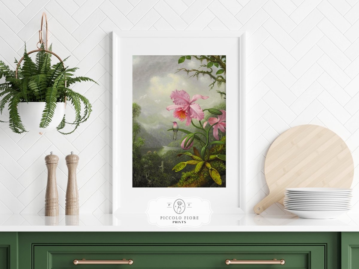 Hummingbird and Pink Orchid | P454 - Single Art Prints - Piccolo Fiore Prints