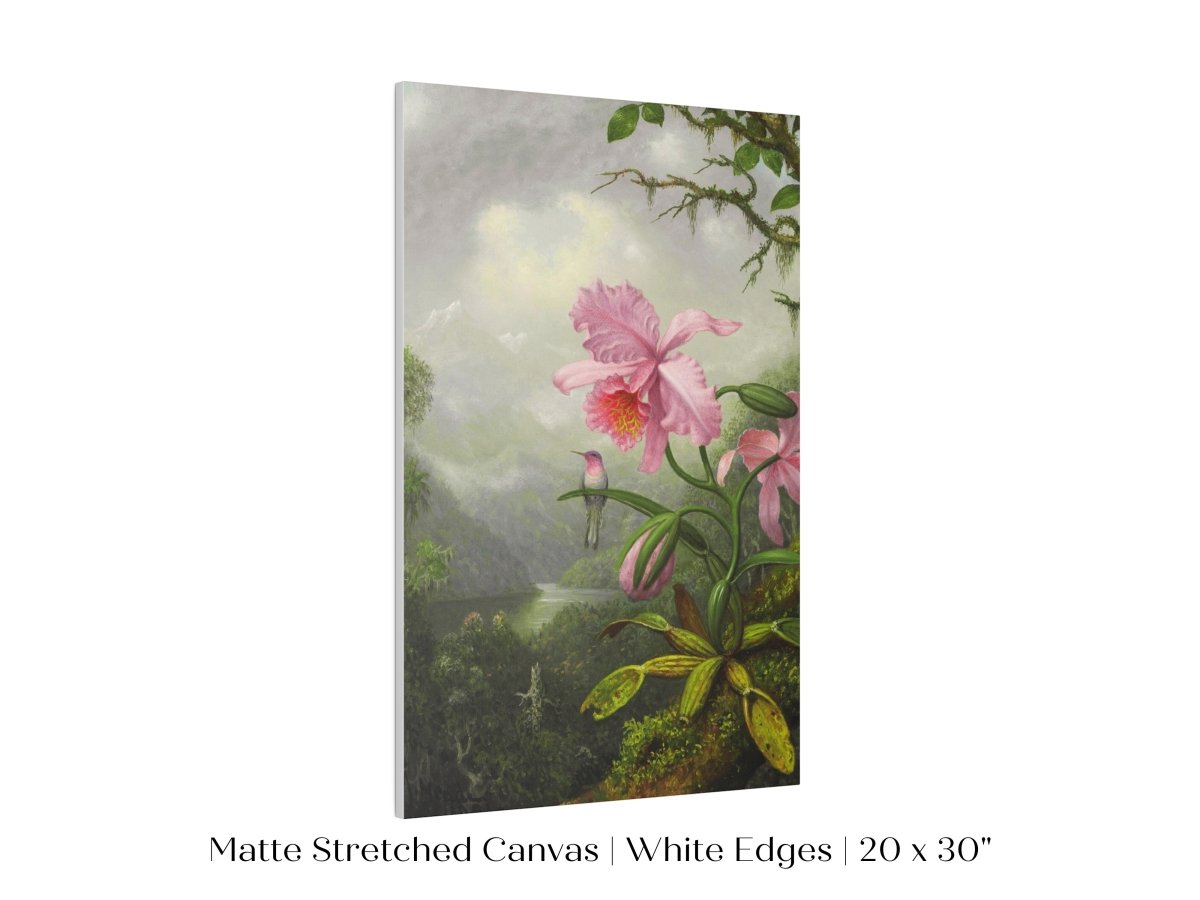 Hummingbird and Pink Orchid | P454 - Single Art Prints - Piccolo Fiore Prints