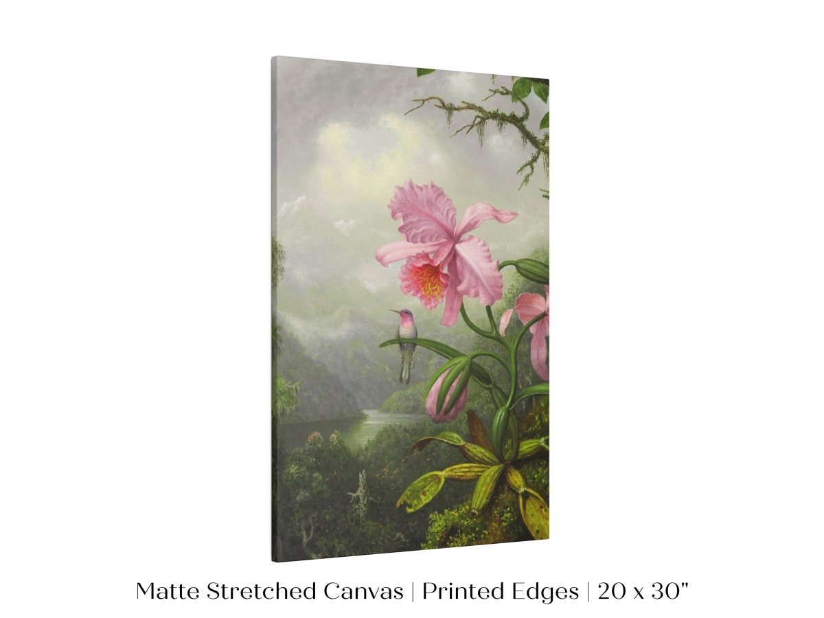 Hummingbird and Pink Orchid | P454 - Single Art Prints - Piccolo Fiore Prints