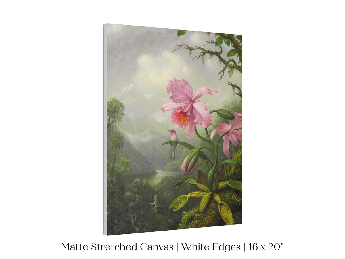 Hummingbird and Pink Orchid | P454 - Single Art Prints - Piccolo Fiore Prints