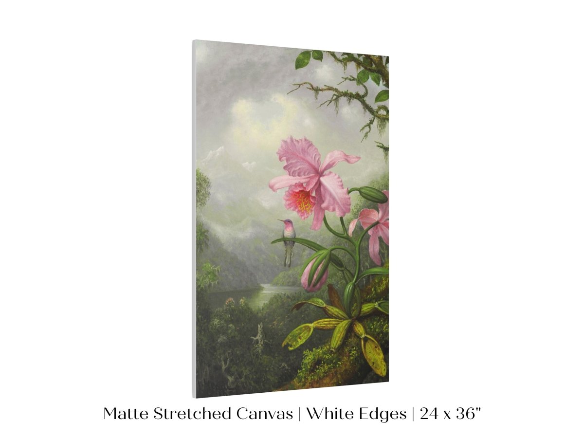 Hummingbird and Pink Orchid | P454 - Single Art Prints - Piccolo Fiore Prints
