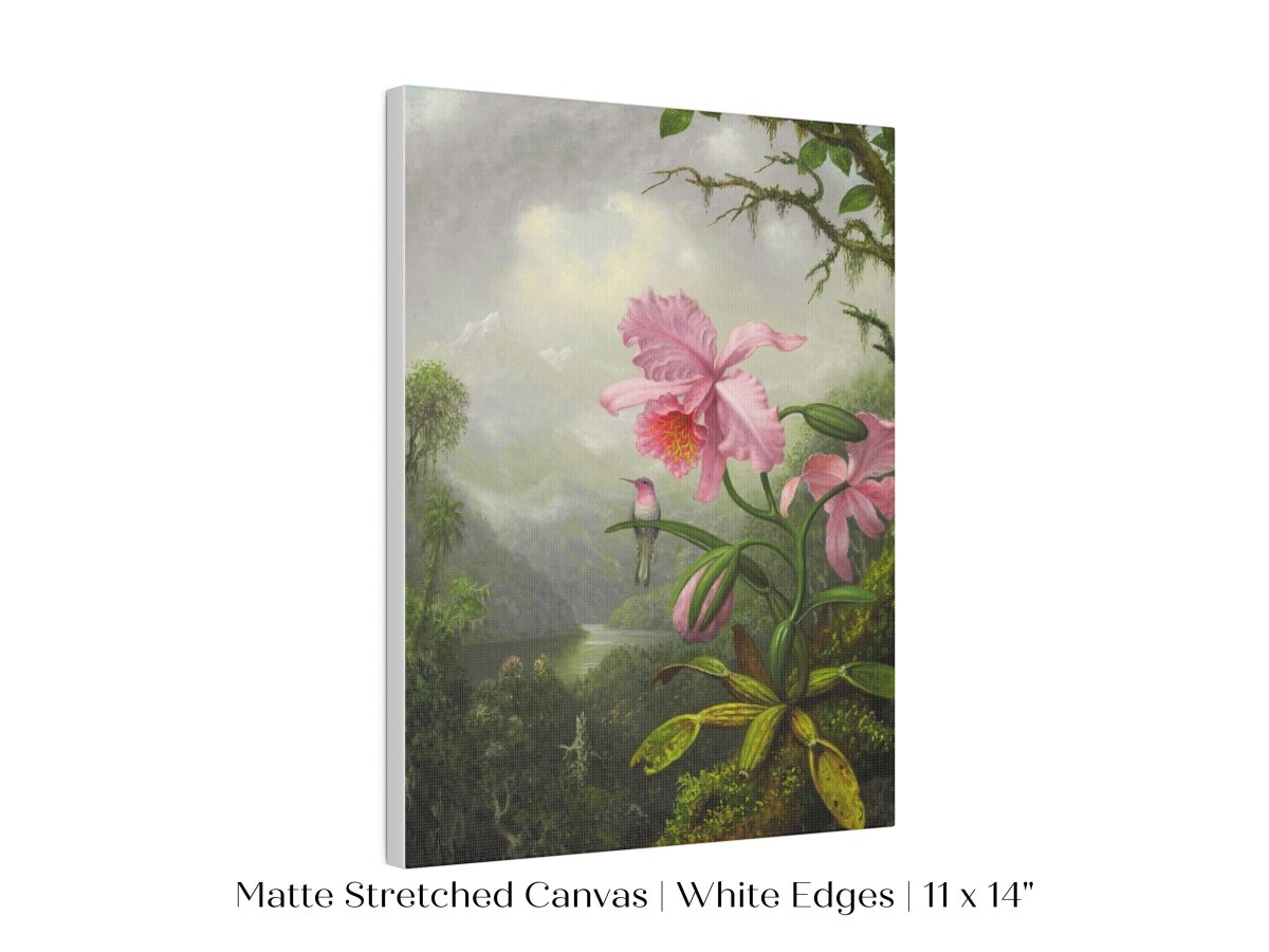 Hummingbird and Pink Orchid | P454 - Single Art Prints - Piccolo Fiore Prints