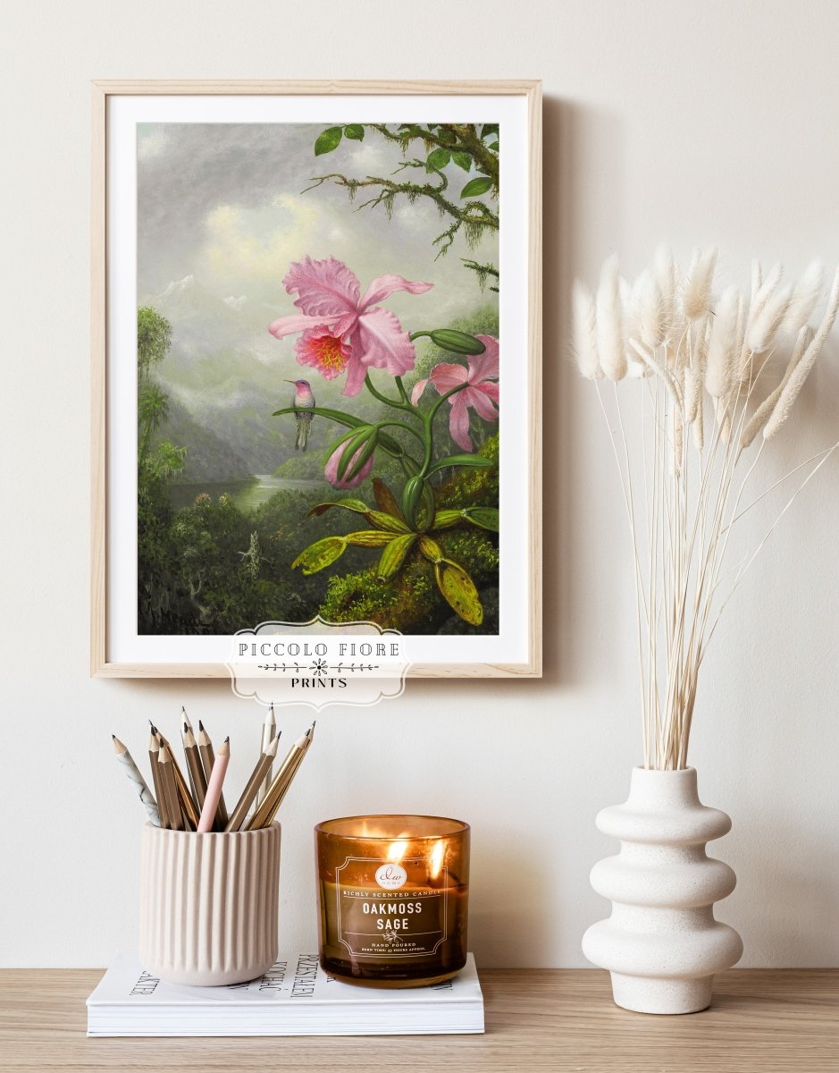 Hummingbird and Pink Orchid | P454 - Single Art Prints - Piccolo Fiore Prints