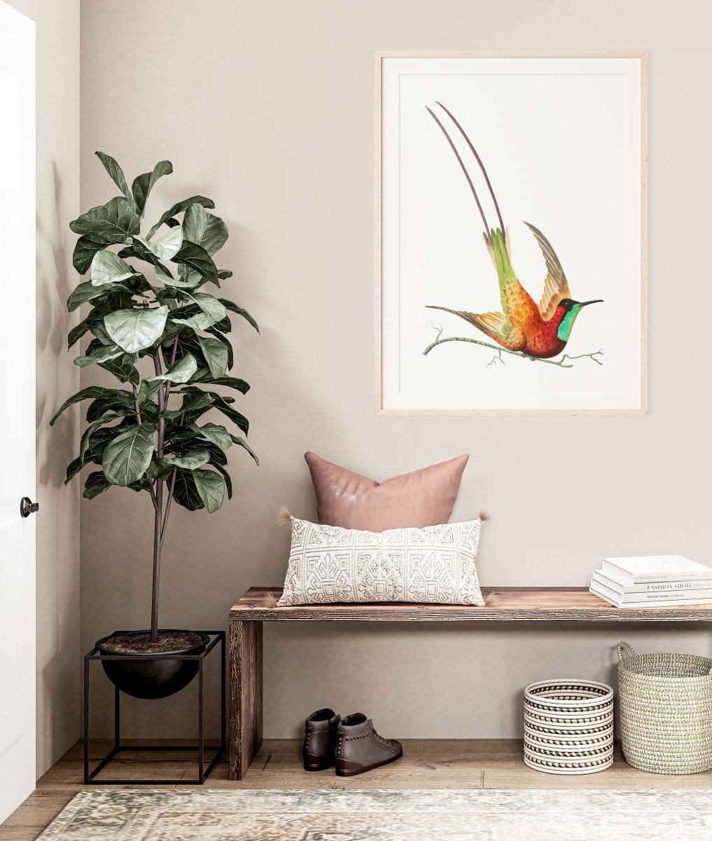 Hummingbird Illustration | P42 - Single Art Prints - Piccolo Fiore Prints