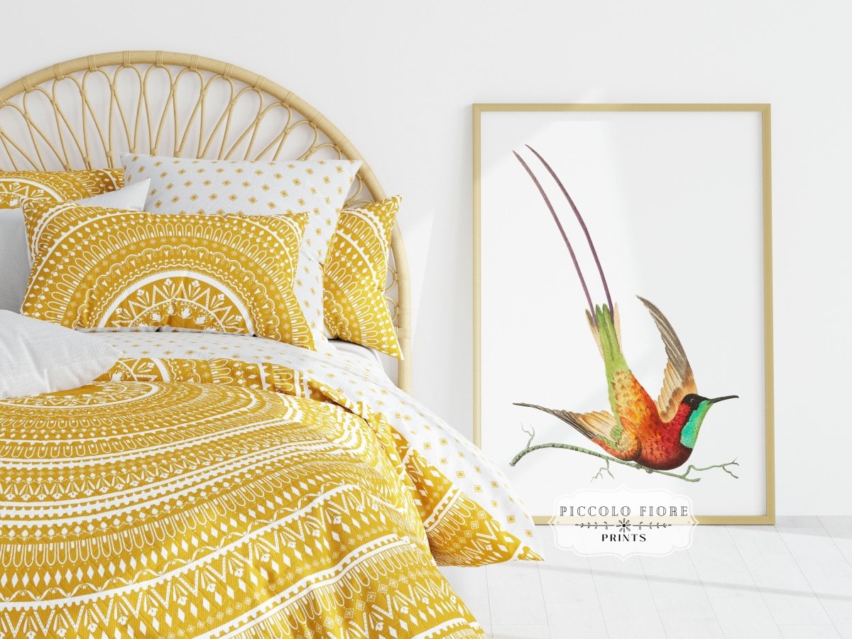 Hummingbird Illustration | P42 - Single Art Prints - Piccolo Fiore Prints