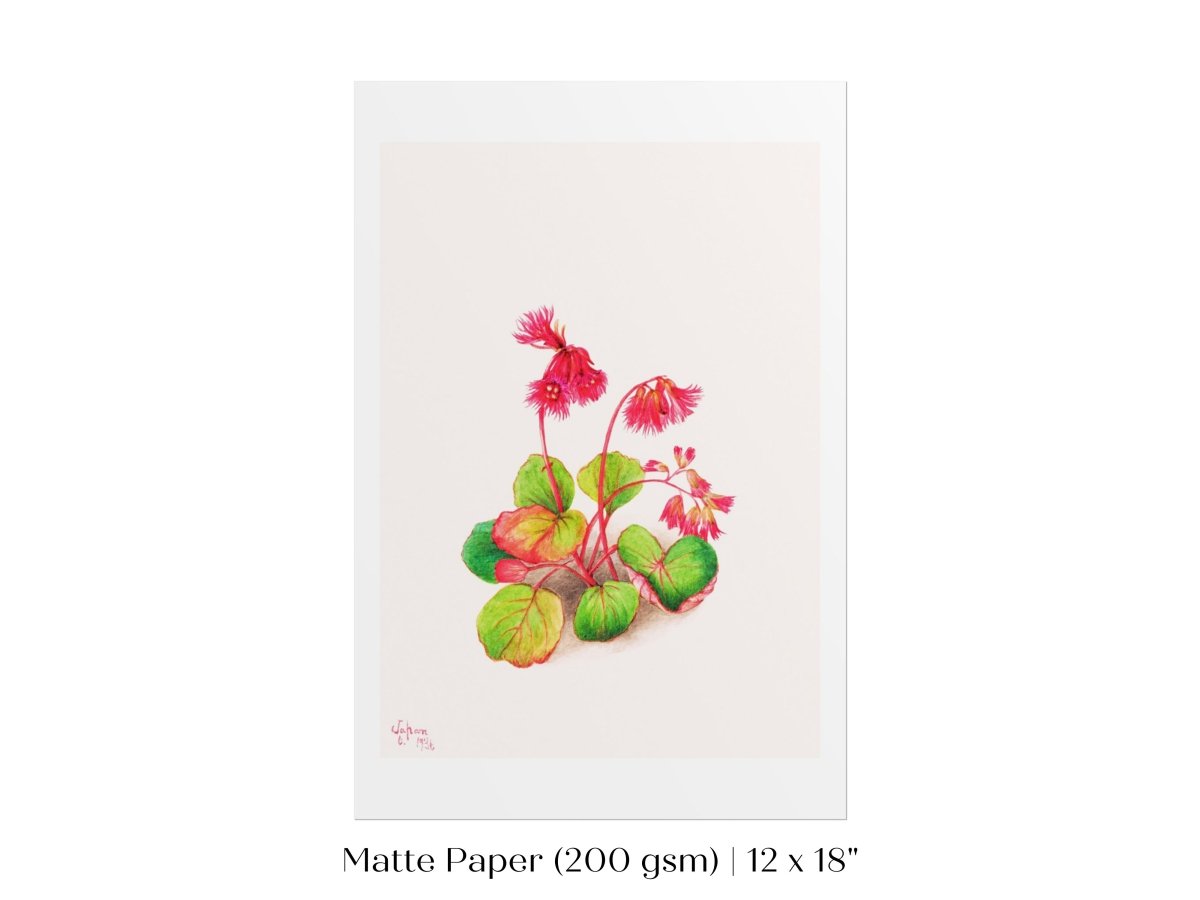 Iwakagami Illustration | P164 - Single Art Prints - Piccolo Fiore Prints