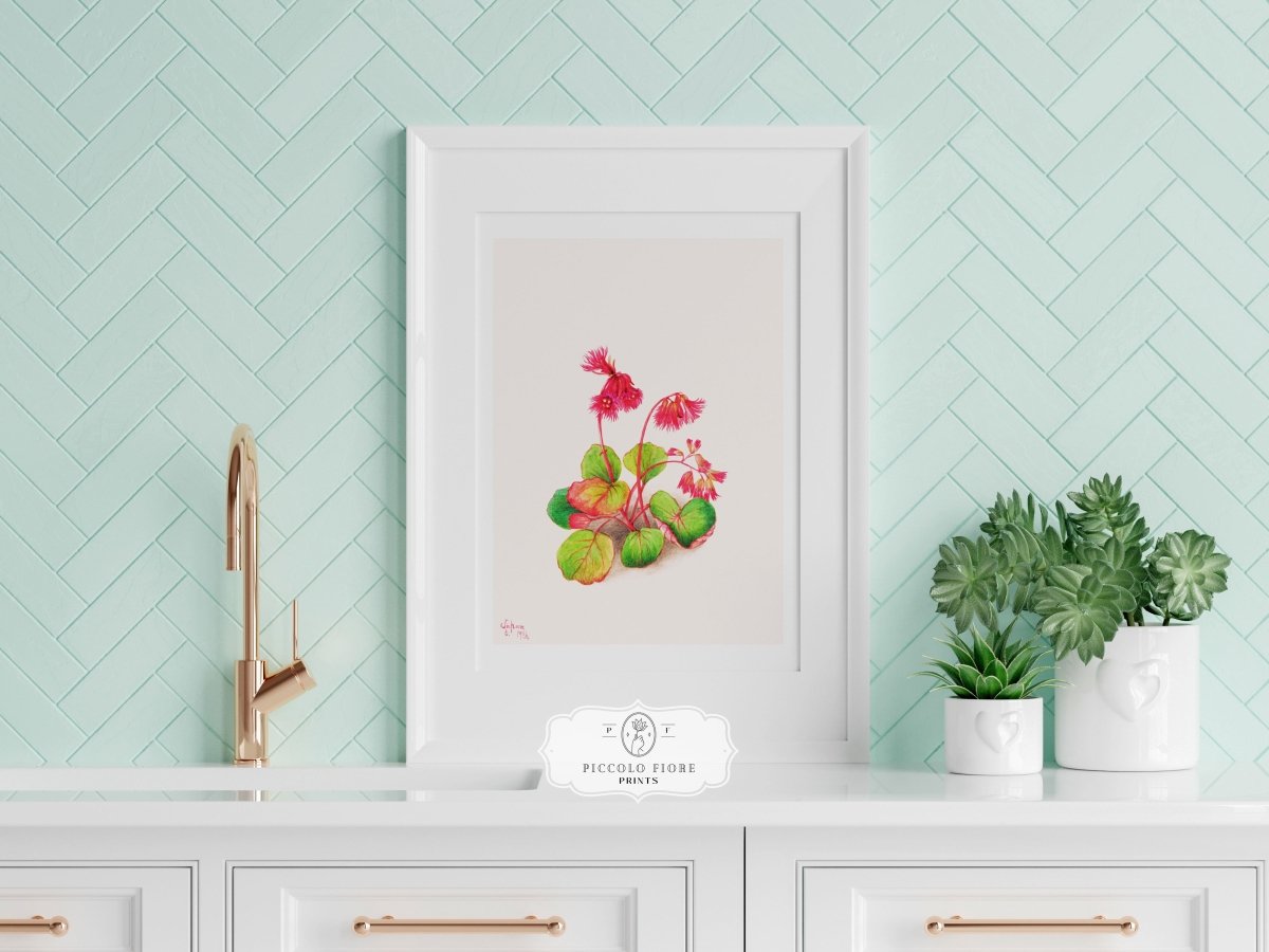 Iwakagami Illustration | P164 - Single Art Prints - Piccolo Fiore Prints