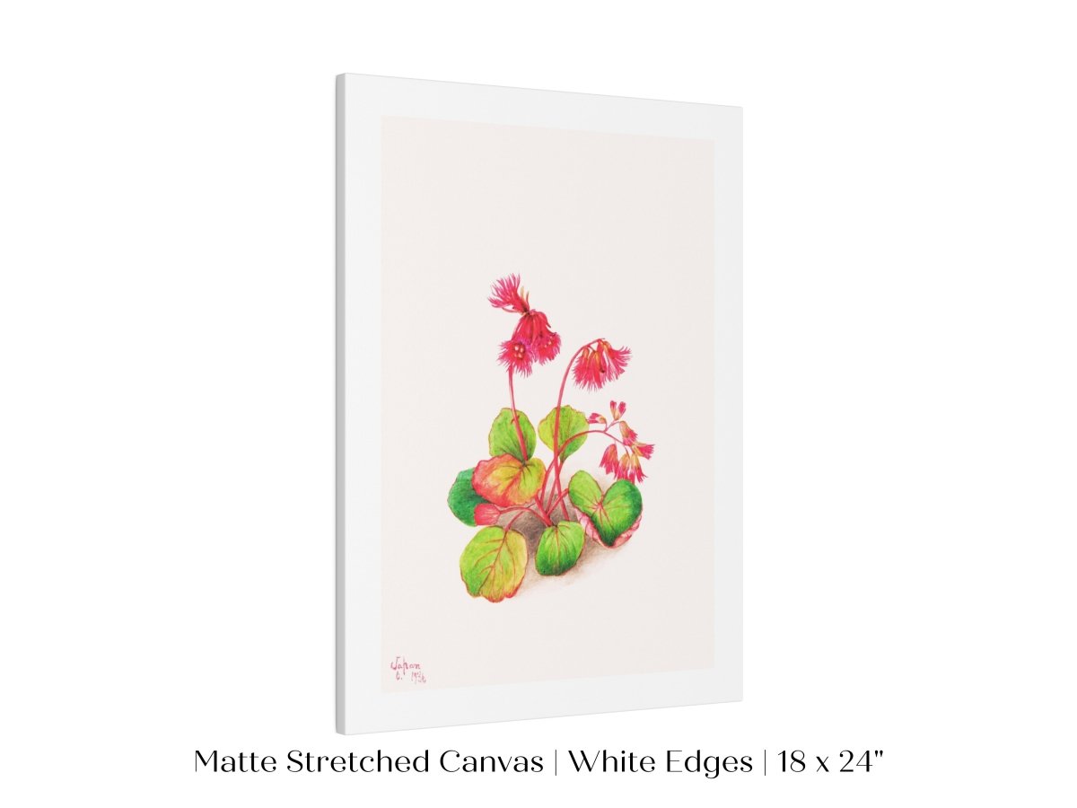 Iwakagami Illustration | P164 - Single Art Prints - Piccolo Fiore Prints
