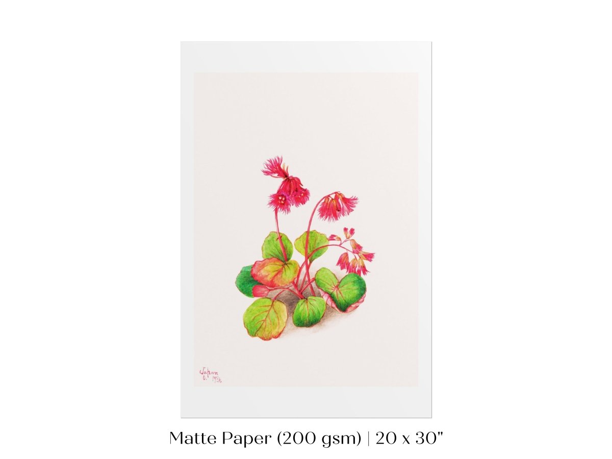 Iwakagami Illustration | P164 - Single Art Prints - Piccolo Fiore Prints