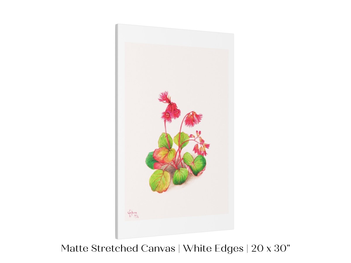 Iwakagami Illustration | P164 - Single Art Prints - Piccolo Fiore Prints