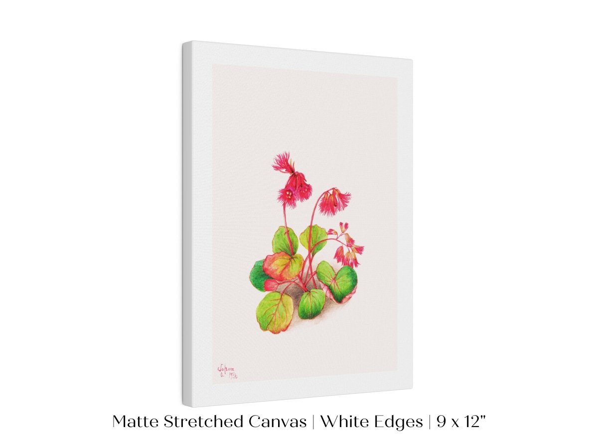 Iwakagami Illustration | P164 - Single Art Prints - Piccolo Fiore Prints