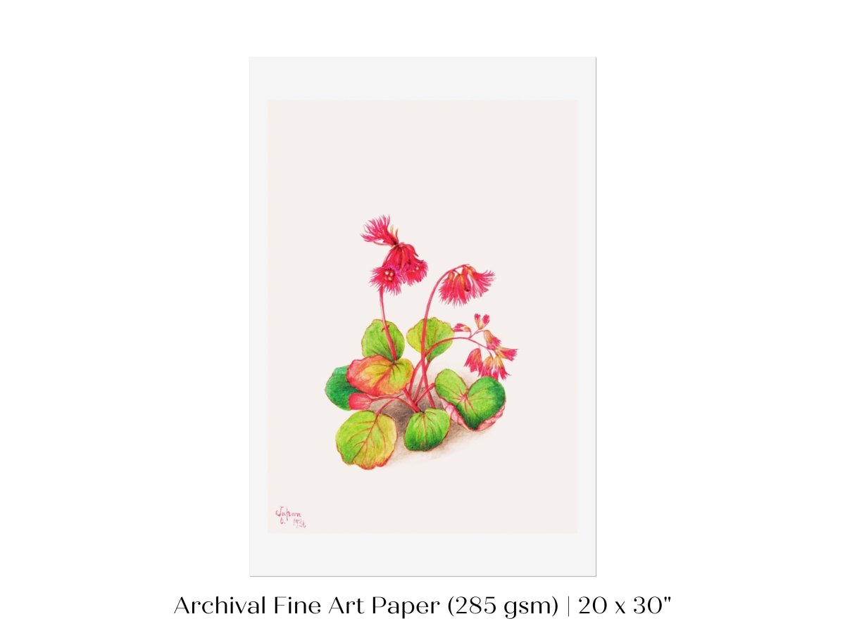 Iwakagami Illustration | P164 - Single Art Prints - Piccolo Fiore Prints