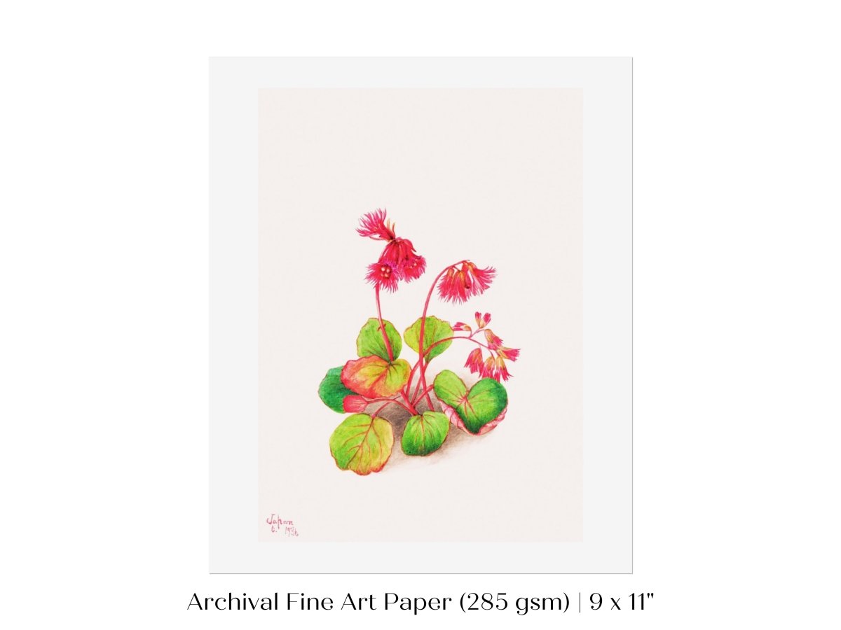 Iwakagami Illustration | P164 - Single Art Prints - Piccolo Fiore Prints