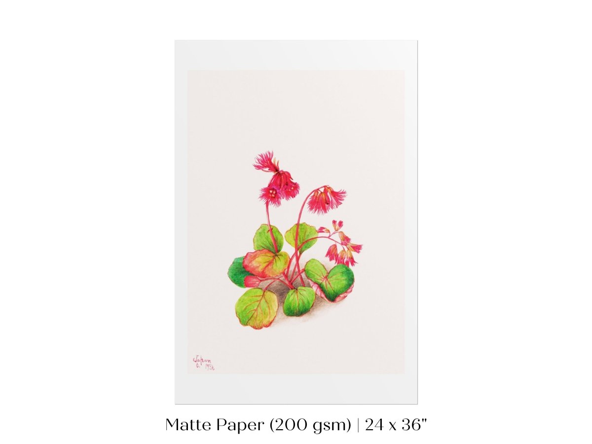 Iwakagami Illustration | P164 - Single Art Prints - Piccolo Fiore Prints