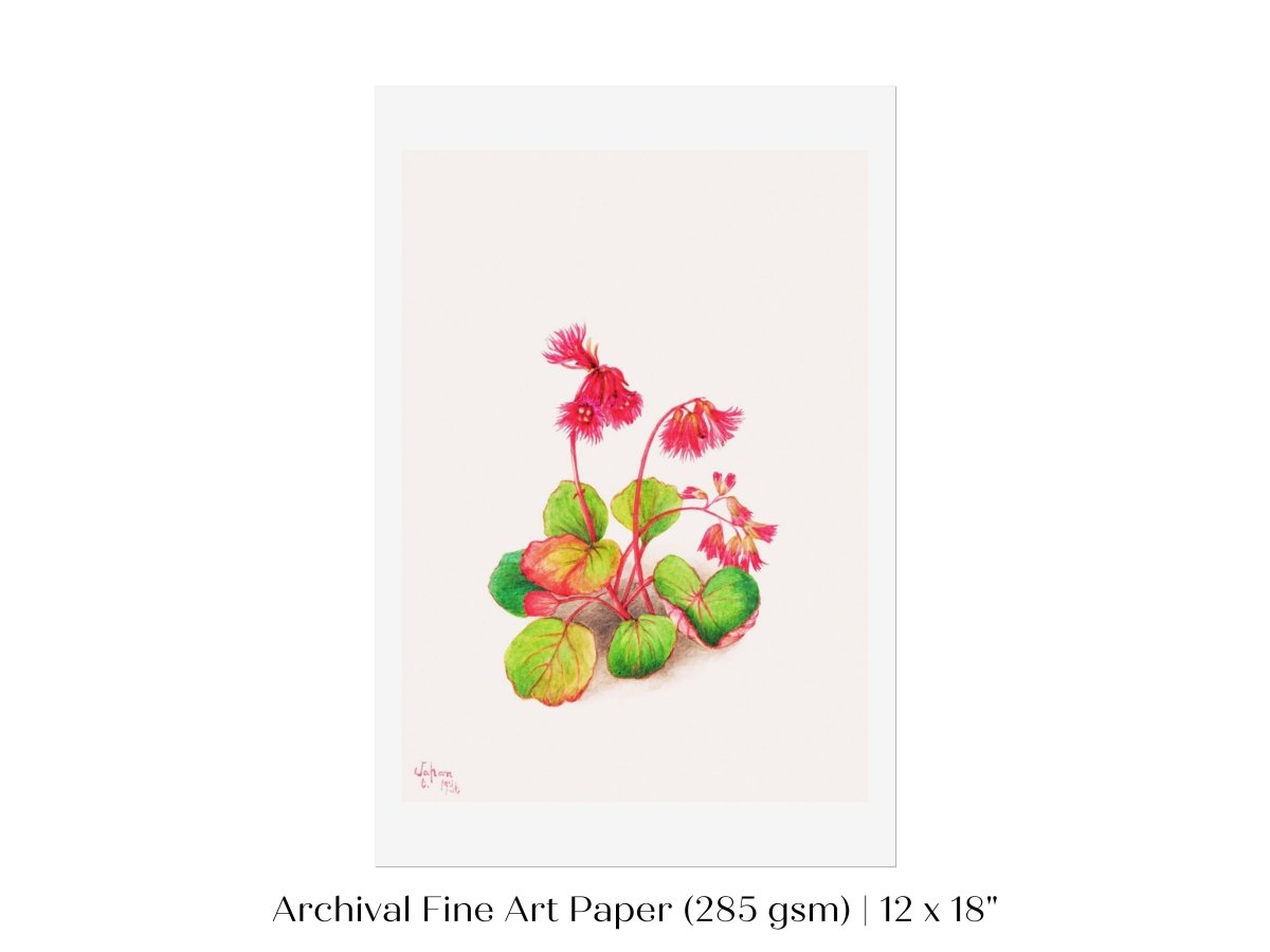 Iwakagami Illustration | P164 - Single Art Prints - Piccolo Fiore Prints
