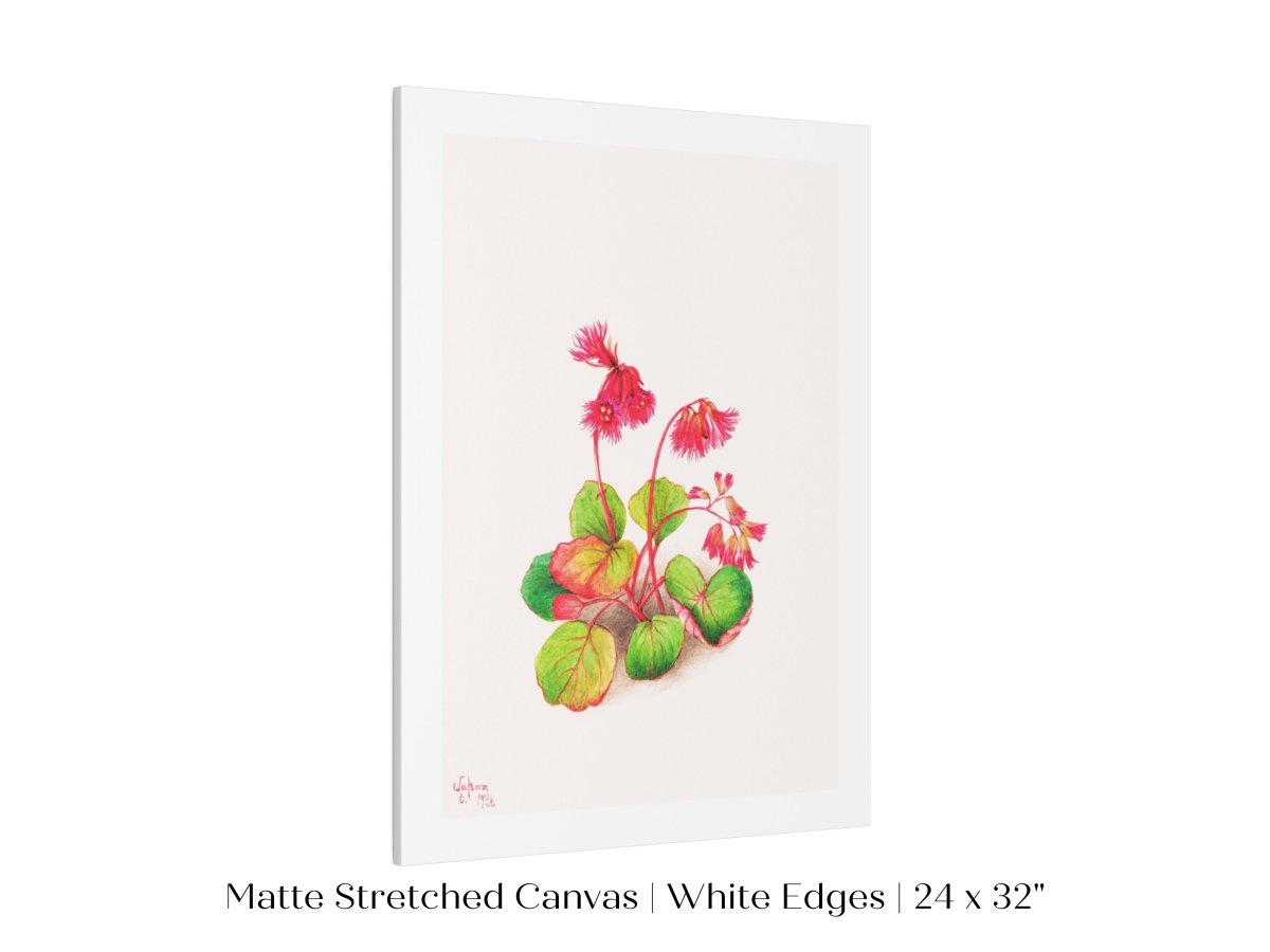 Iwakagami Illustration | P164 - Single Art Prints - Piccolo Fiore Prints